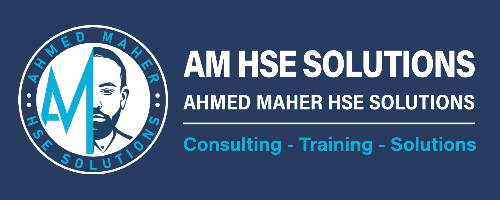 AM HSE Solutions logo